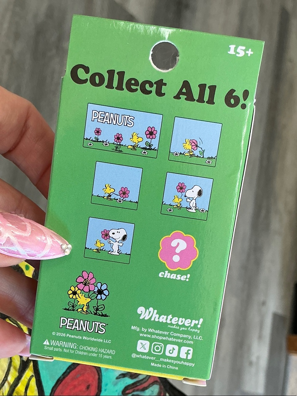 Peanuts Mystery Comic Strip Enamel Pins